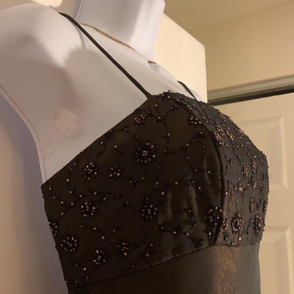 Cache Prom/Evening Gown, Size 4 - Picture 6 of 11